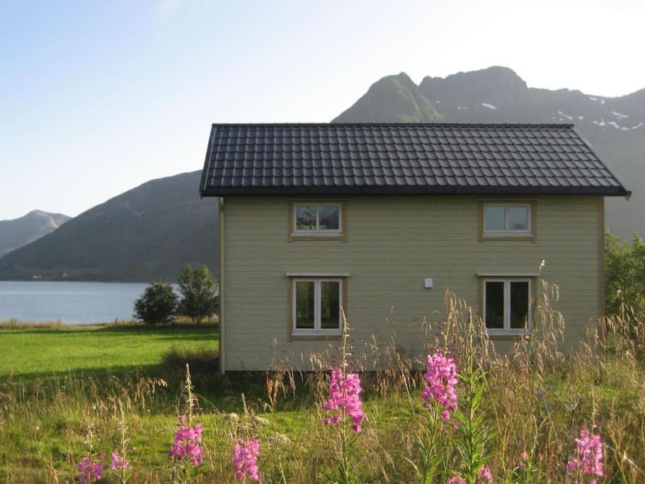Charming House By The Sea, Lofoten! Laupstad Extérieur photo