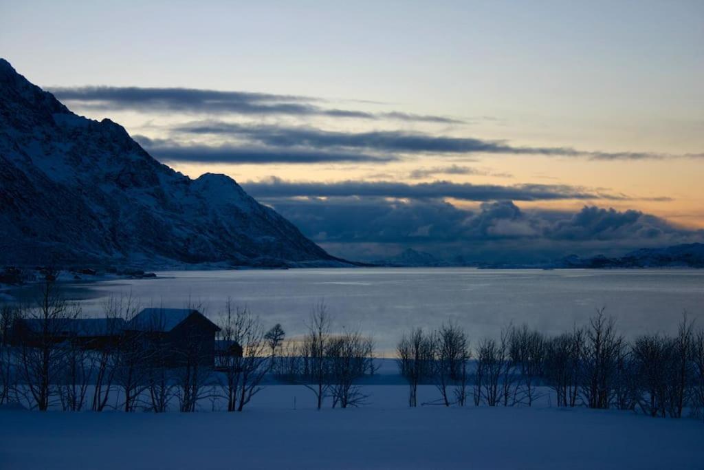 Charming House By The Sea, Lofoten! Laupstad Extérieur photo