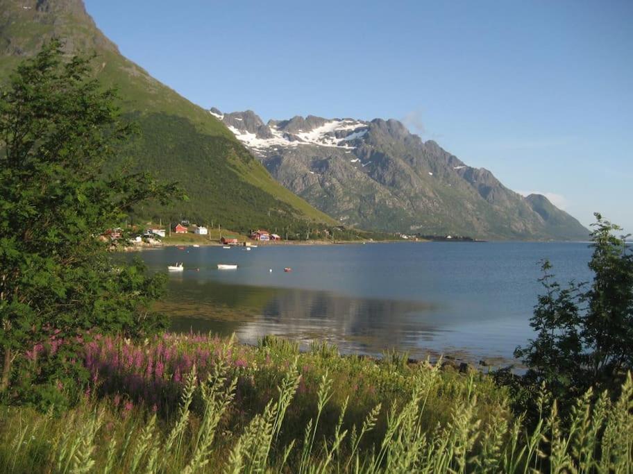 Charming House By The Sea, Lofoten! Laupstad Extérieur photo